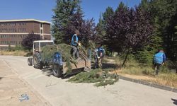 Denetimli Serbestlik Yükümlülerinden TOGÜ Kampüsüne Anlamlı Dokunuş