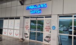 Alaplı'da 'pat-pat' kazası: 2 yaralı