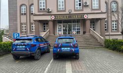Alaplı'da uyuşturucu operasyonunda 7 kök kenevir ve esrar ele geçirildi