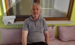 Arıların soktuğu yaşlı adam hayatını kaybetti