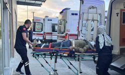 Çamardı'da midibüs devrildi: 3 yaralı