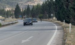 Kara yoluna çıkan eşek trafiği tehlikeye düşürdü