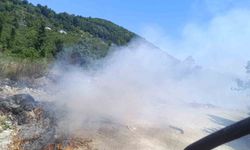 Mollabey yolunda çöplük yangını paniğe neden oldu