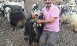 Şavşat Deresi'nde kaybolan babanın cansız bedenine ulaşıldı