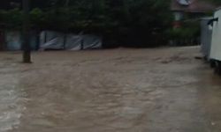 Sel afetinin yaşandığı Cide'de derenin taştığı anlar kamerada