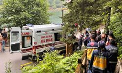 Uzungöl'de seyir terasından araç uçtu: 2 Arap turist yaralı
