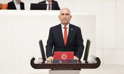 CHP'li Durmaz: "Orman Yangınlarıyla Mücadele Anlayışı İklim Krizine Göre Yeniden Yapılandırılmalı"