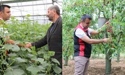 İl Tarım ve Orman Müdürü Cebeci, Üreticilerle Sahada Bir Araya Gelmeye Devam Ediyor