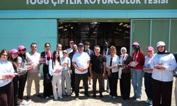 TOGÜ ve Yunus Emre Enstitüsü İş Birliğiyle Uluslararası Kültür Köprüsü Kuruldu