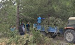 Topluma Uyum ve Üniversiteye Estetik Dokunuş! Denetimli Serbestlik Yükümlülerinden Anlamlı Mesai