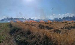 Kastamonu'da çıkan yangında 13 dönümlük tarar zarar gördü