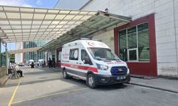 Ordu'da mantardan zehirlenen yaşlı çift hastaneye kaldırıldı