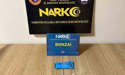 Ordu'da uyuşturucu operasyonlarında 2 tutuklama