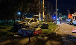 Otomobil parka daldı, ortalık savaş alanına döndü