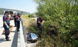 Otomobilin çarptığı bisikletli ağacın altında ölü bulundu, kaçan sürücü kısa sürede yakalandı