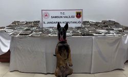 Samsun'da tıra gizlenmiş 132 kilo toz esrar ele geçirildi