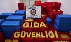 Tokat'ta ve Türkiye Genelinde "Gıda Güvenliği-1" Operasyonu! 61 Milyon TL'lik Sahte Ürün Ele Geçirildi