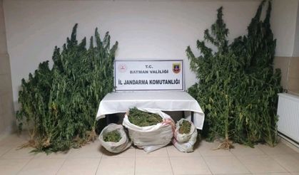 Batman’da jandarma ekipleri bir ayda 122 olaya müdahale etti