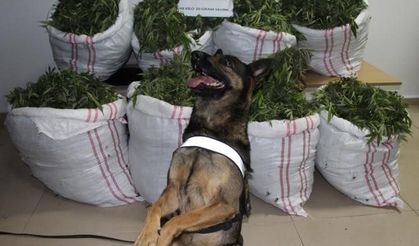 Bingöl’de bir haftada 112 kilo uyuşturucu ele geçirildi