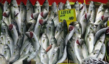 Denizlerin prensi ’lüfer’ yarı yarıya ucuzladı