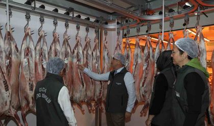 Diyarbakır’da hayvansal ürün satan iş yerlerinde sıkı denetim