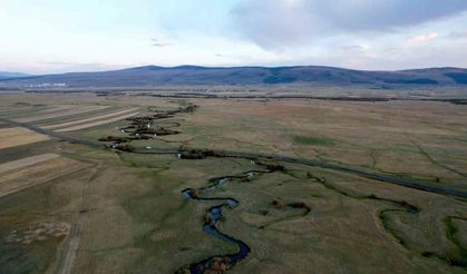 Doğanın "kılcal damarları" menderesler havadan görüntülendi