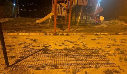 Domaniç’te ayı paniği