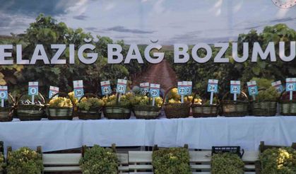 Elazığ’da 17’nci Bağ Bozumu Festivali gerçekleştirildi