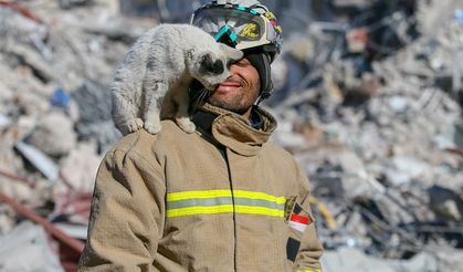 İtfaiye eri 9 aydır depremde kurtardığı ’Enkaz’ isimli kediyle yaşıyor
