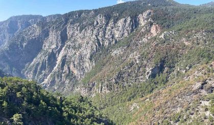 Karanlıkdere Kanyonu’nda çıkan yangın kontrol altına alındı