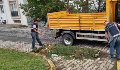 Karesi Belediyesi yeşil alanlara gözü gibi bakıyor