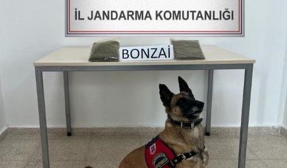 Kars’ta yolcu otobüsünde uyuşturucu ele geçirildi