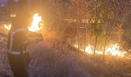 Lüleburgaz TEM Otoyolu kenarında yangın: Sürücüler zor anlar yaşadı