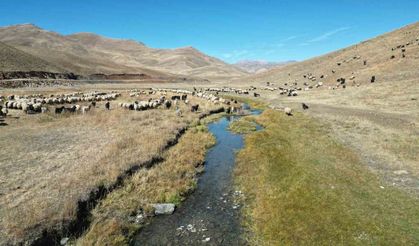 Şırnak’ta yayladan inen besici, bir aylık yolculuğuna başladı