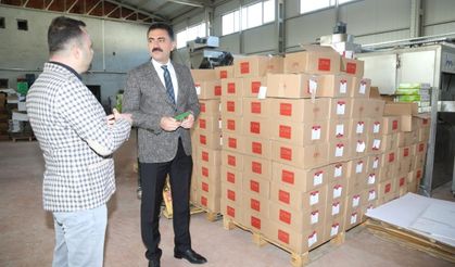 Vali Tekbıyıkoğlu, OSB’de incelemelerde bulundu