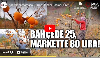 Cennet Hurması üreticide 25, markette 80 TL!