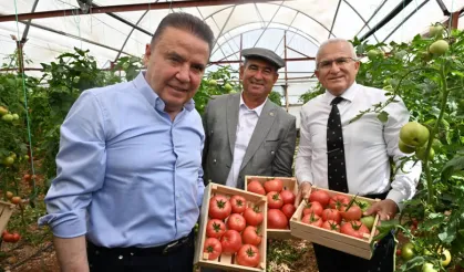 IV. Uluslararası FoodFest Gastronomi Festivali domates hasadı ile başladı