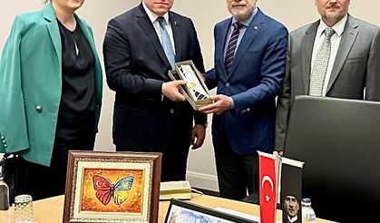 Cumhurbaşkanı Başdanışmanı Topçu: "Hindistan’ın Pakistan’a yaptığı bu kışkırtıcı saldırısını kınıyoruz"