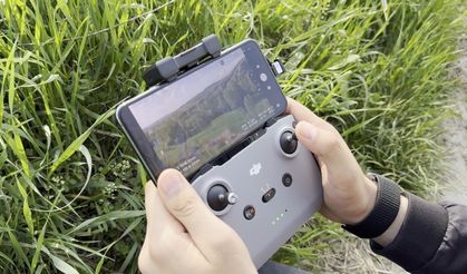 Kezban ninenin firari düvesini dron buldu