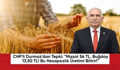 CHP'li Durmaz'dan Tepki: "Mazot 56 TL, Buğday 13,50 TL! Bu Hesapsızlık Üretimi Bitirir!"