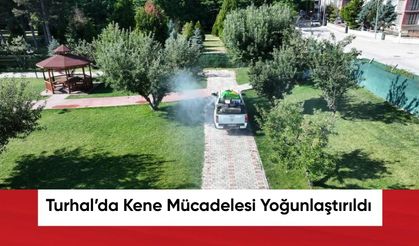 Turhal’da Kene Mücadelesi Yoğunlaştırıldı