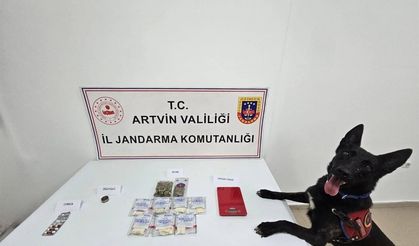 Artvin’de uyuşturucu operasyonu: 2 kişi tutuklandı