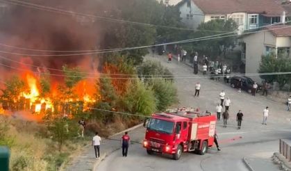 Tokat’ta arı kovanları küle döndü