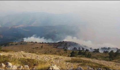 Amasya’da orman yangını