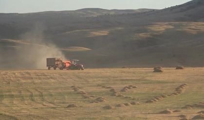 Bayburt’un Çayırköprü köyünde 194 balya ot çalındı