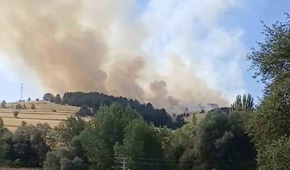 Çankırı’da orman yangını