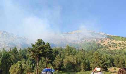 Gümüşhane’de çıkan yangın kontrol altına alındı