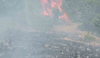 Gümüşhane’de çobanın yaktığı ateş yangına sebep oldu
