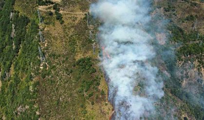 Gümüşhane’deki yangın kontrol altına alındı