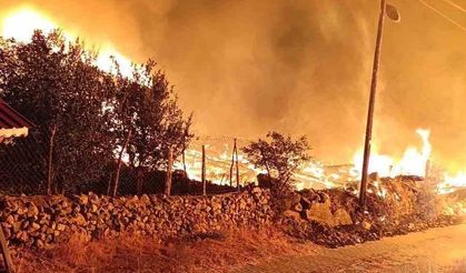 Köyde çıkan yangında 6 ev küle döndü